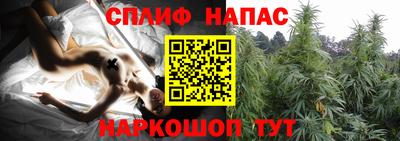 стафф Абинск